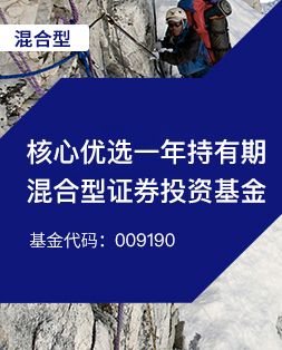 景顺长城核心优选一年持有混合基金代码009190